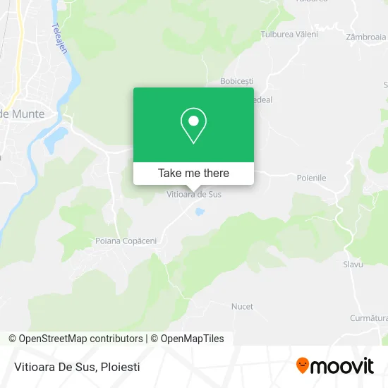 Vitioara De Sus map