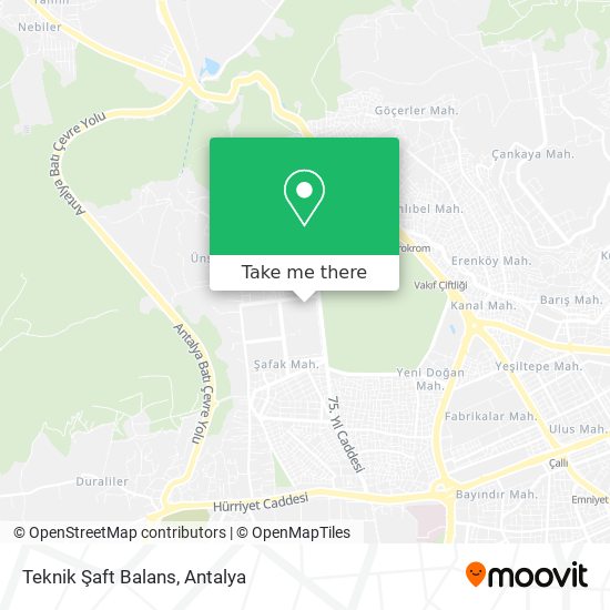 Teknik Şaft Balans map