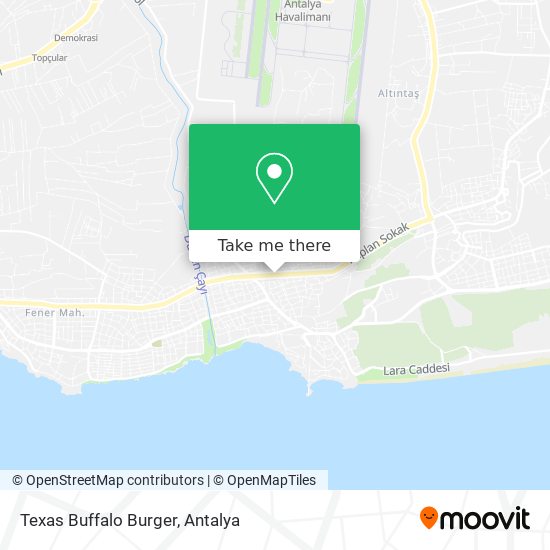 Texas Buffalo Burger map