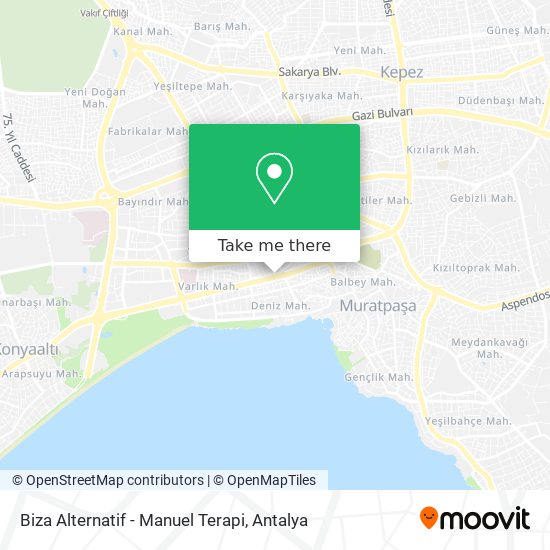 Biza Alternatif - Manuel Terapi map