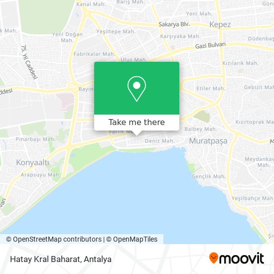 Hatay Kral Baharat map