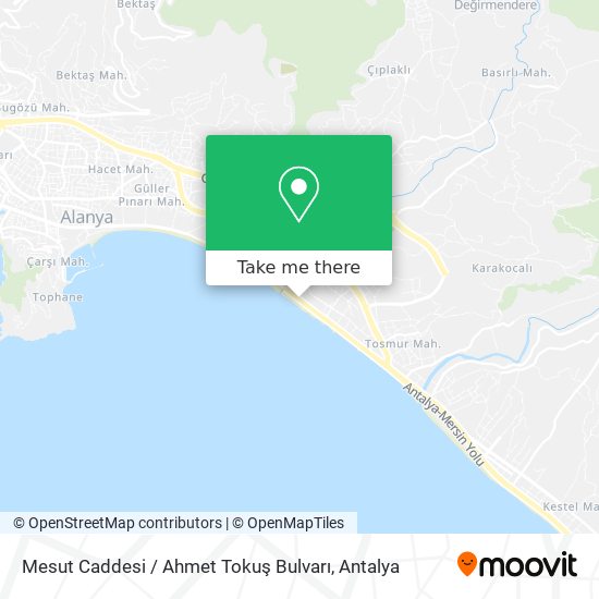 Mesut Caddesi / Ahmet Tokuş Bulvarı map