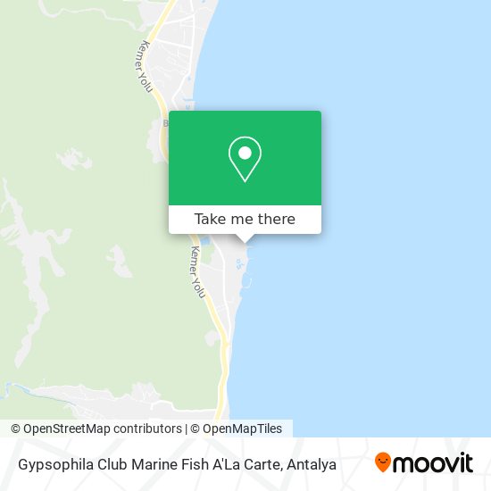 Gypsophila Club Marine Fish A'La Carte map
