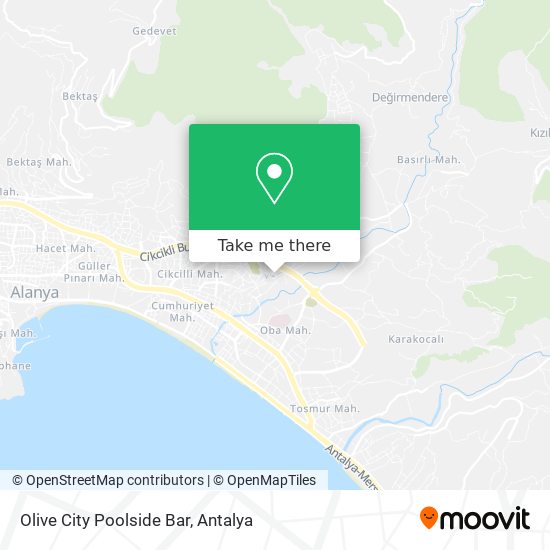 Olive City Poolside Bar map