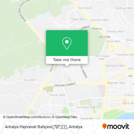 Antalya Hayvanat Bahçesi🐰🐮🐶🐒🐯 map