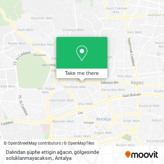 Dalından şüphe ettigin ağacın, gölgesinde soluklanmayacaksın. map