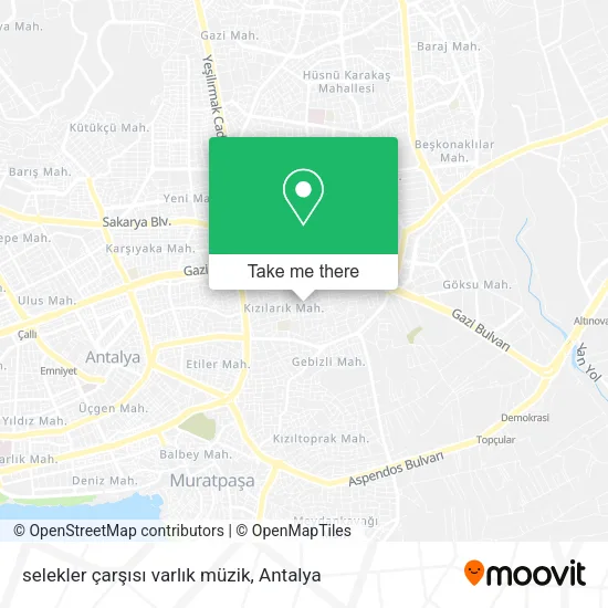 selekler çarşısı varlık müzik map