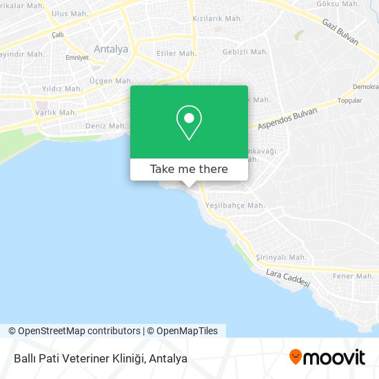 Ballı Pati Veteriner Kliniği map