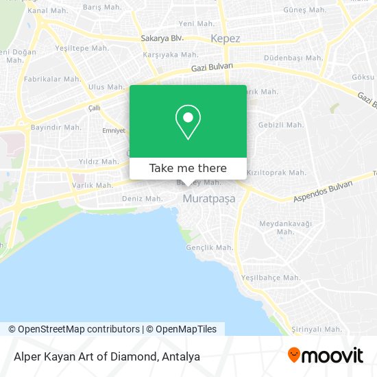 Alper Kayan Art of Diamond map