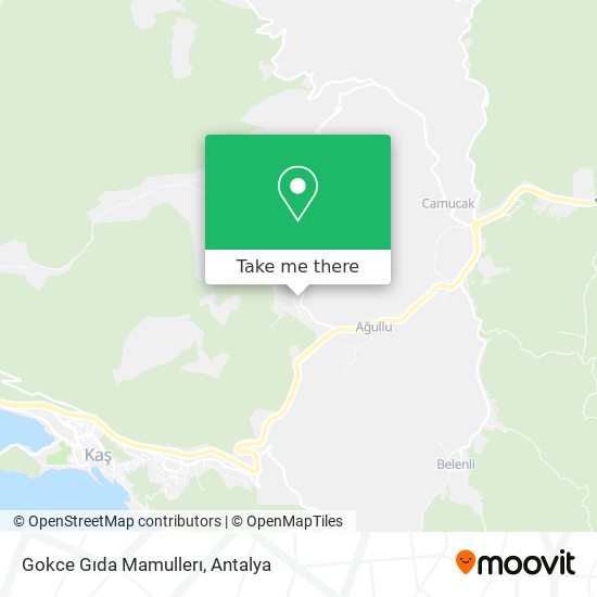 Gokce Gıda Mamullerı map