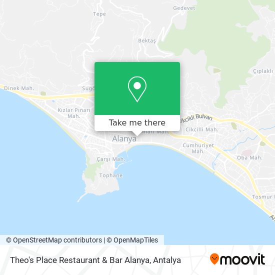 Theo's Place Restaurant & Bar Alanya map
