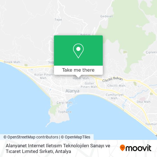 Alanyanet Internet Iletısım Teknolojılerı Sanayı ve Tıcaret Lımıted Sırketı map