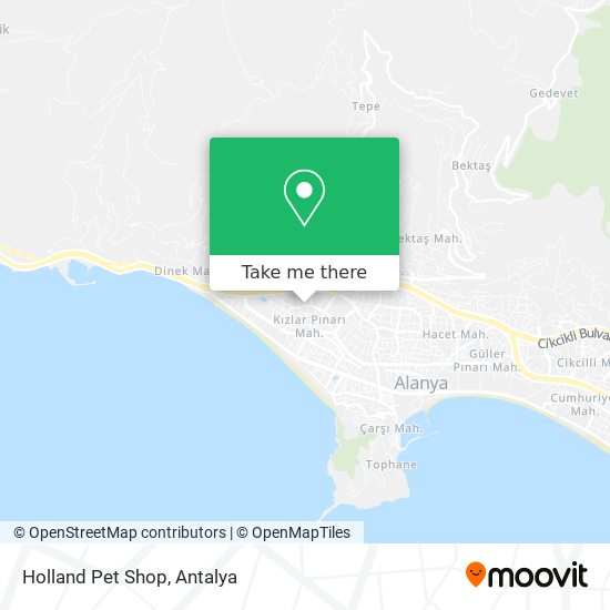 Holland Pet Shop map