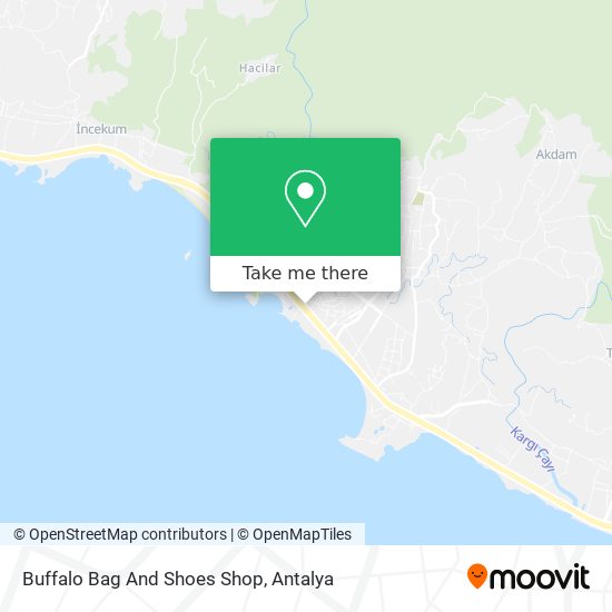 Buffalo Bag And Shoes Shop map