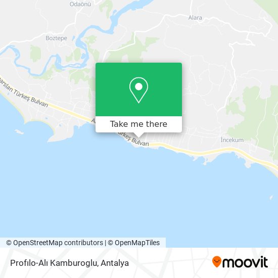 Profılo-Alı Kamburoglu map