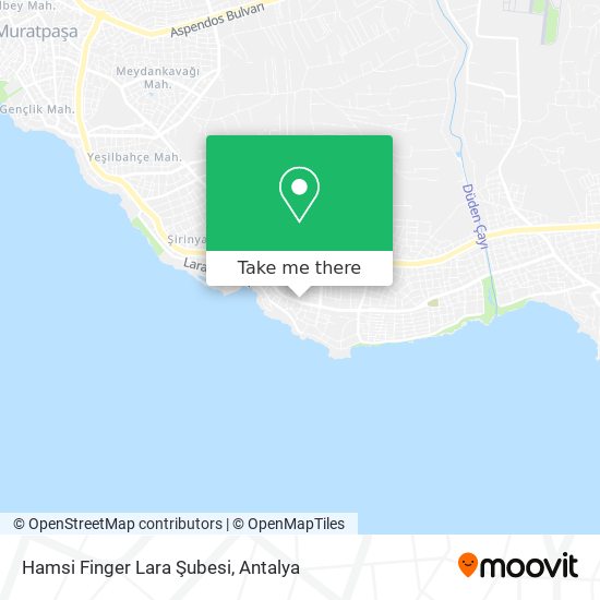 Hamsi Finger Lara Şubesi map