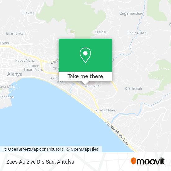 Zees Agız ve Dıs Sag map