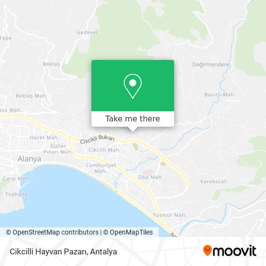 Cikcilli Hayvan Pazarı map