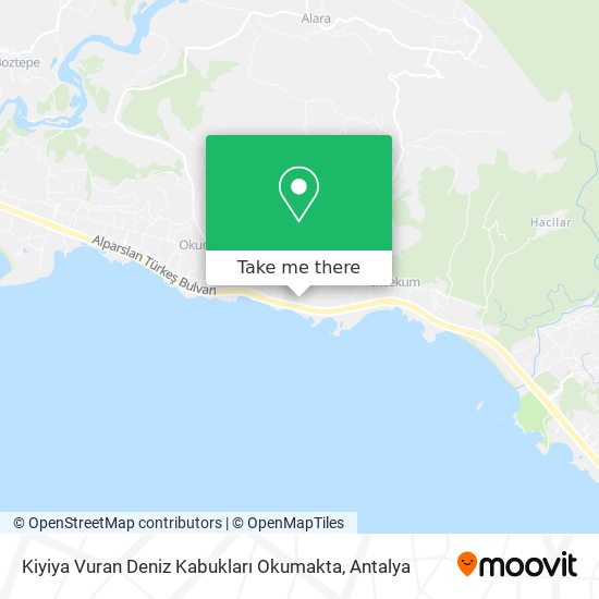Kiyiya Vuran Deniz Kabukları Okumakta map