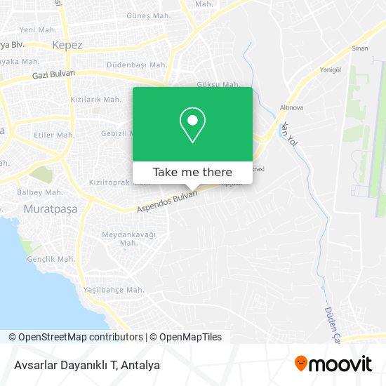 Avsarlar Dayanıklı T map