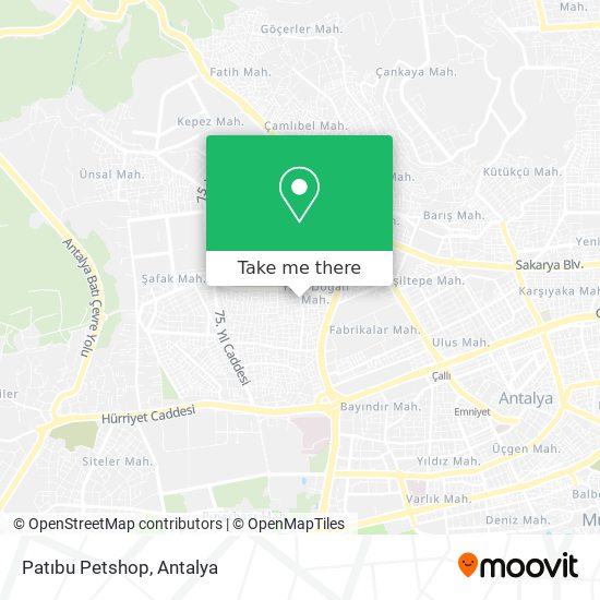 Patıbu Petshop map