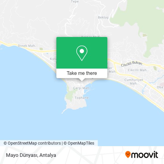 Mayo Dünyası map