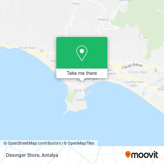 Desınger Store map