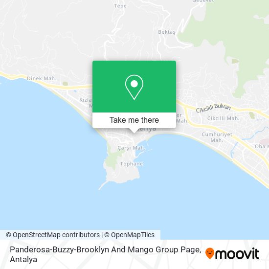 Panderosa-Buzzy-Brooklyn And Mango Group Page map