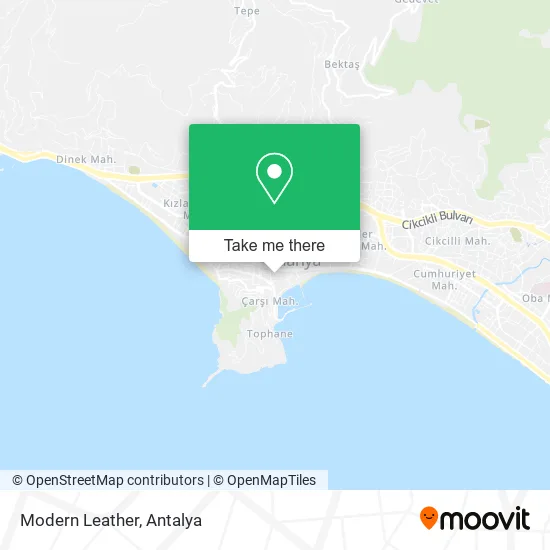 Modern Leather map