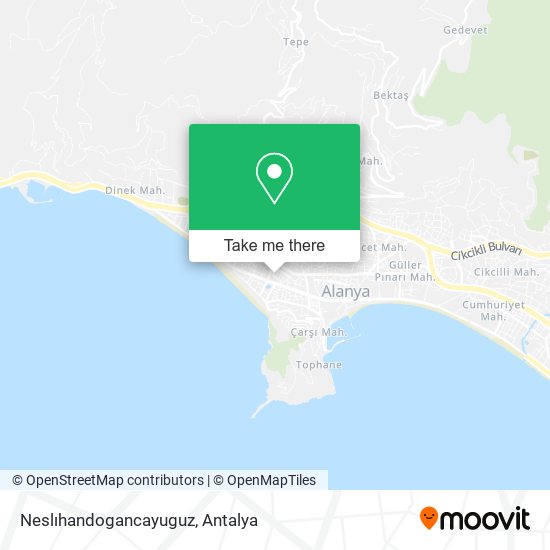 Neslıhandogancayuguz map