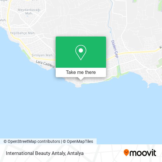 International Beauty Antaly map