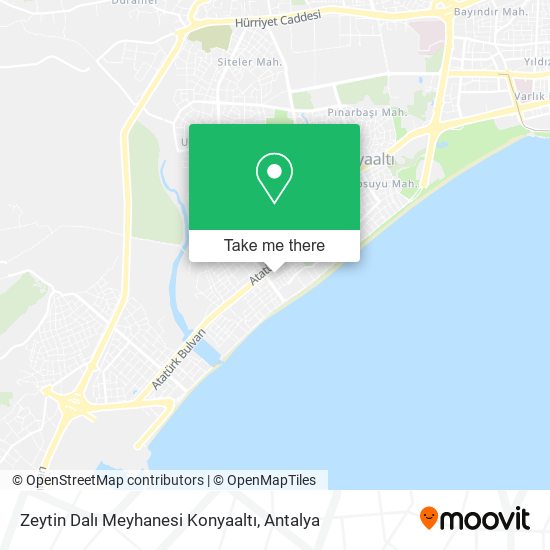 Zeytin Dalı Meyhanesi Konyaaltı map