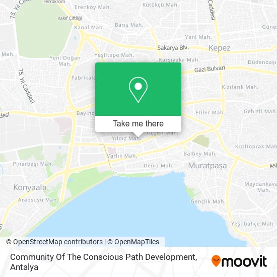 Community Of The Conscious Path Development map