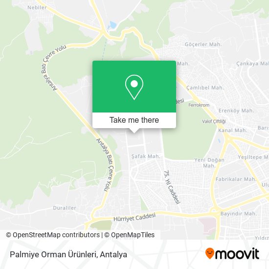 Palmiye Orman Ürünleri map
