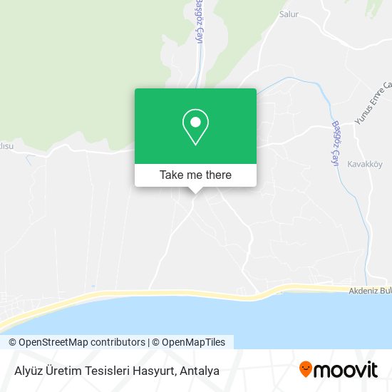 Alyüz Üretim Tesisleri Hasyurt map