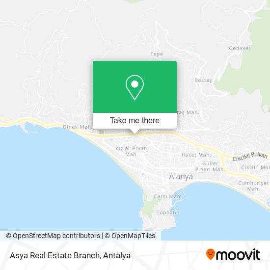 Asya Real Estate Branch map