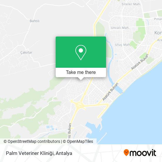 Palm Veteriner Kliniği map