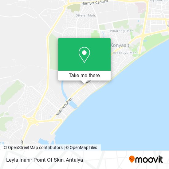 Leyla İnanır Point Of Skin map