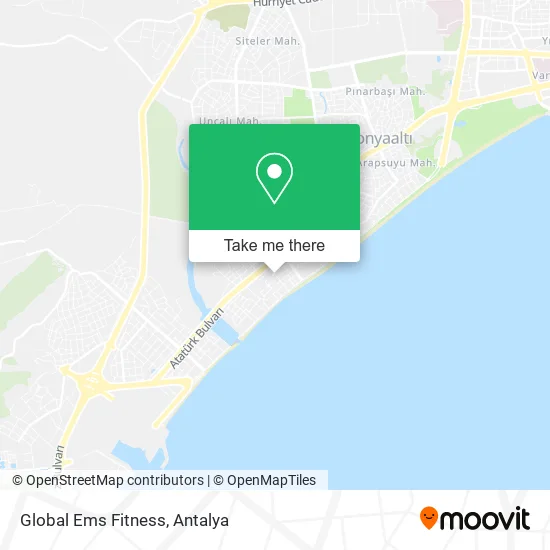 Global Ems Fitness map