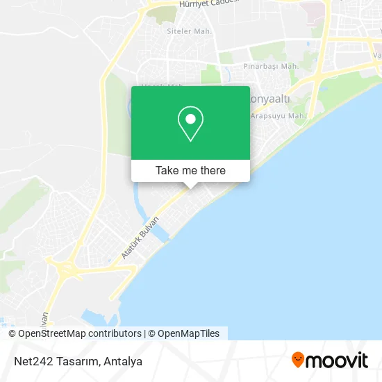 Net242 Tasarım map