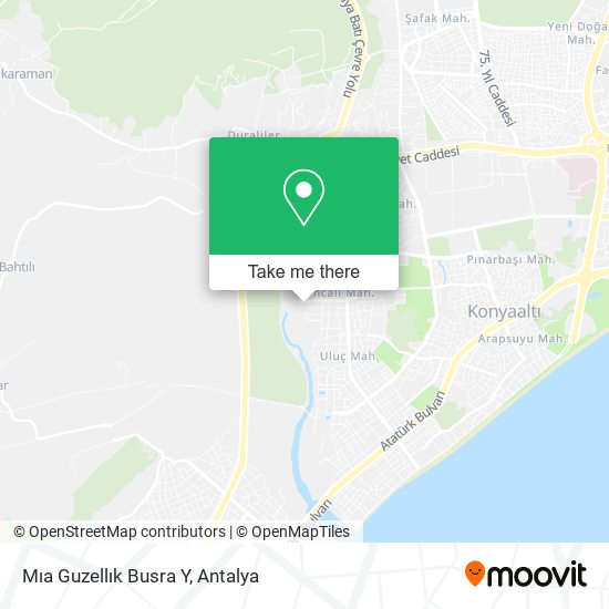 Mıa Guzellık Busra Y map