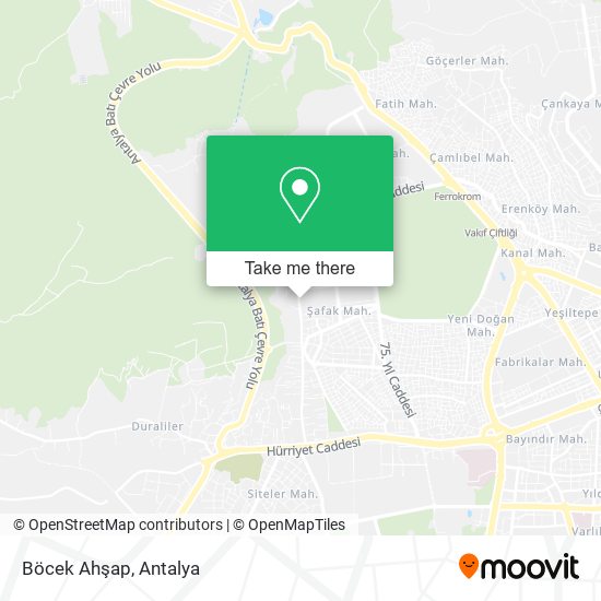 Böcek Ahşap map