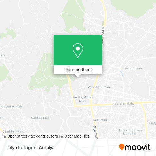 Tolya Fotograf map