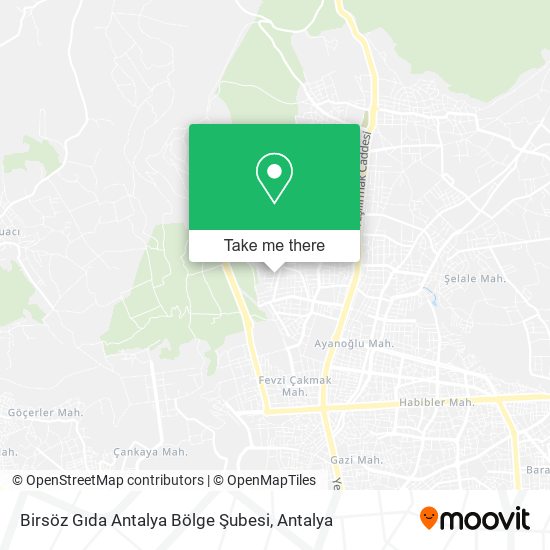 Birsöz Gıda Antalya Bölge Şubesi map