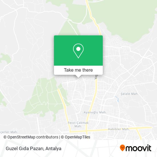 Guzel Gıda Pazarı map