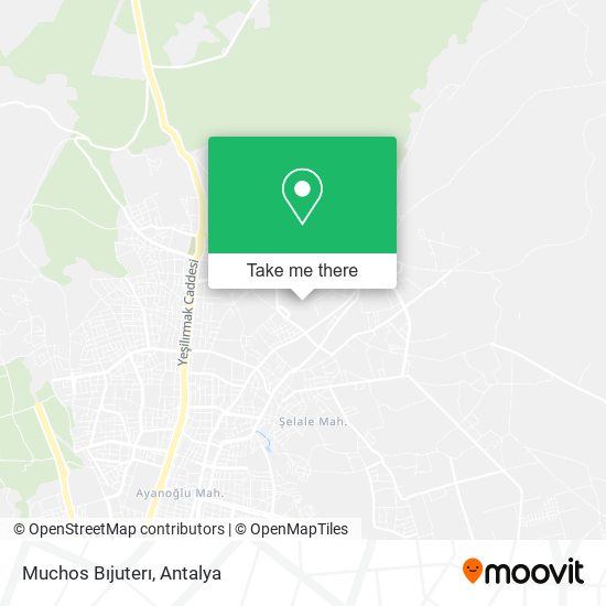 Muchos Bıjuterı map