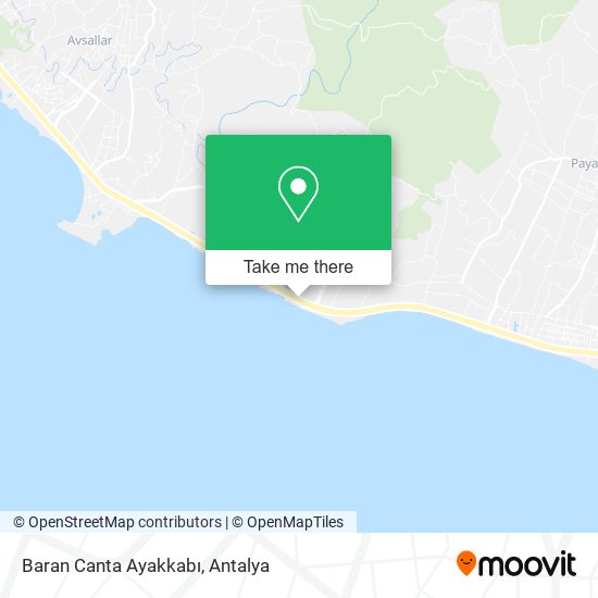 Baran Canta Ayakkabı map