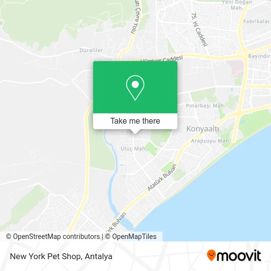 New York Pet Shop map