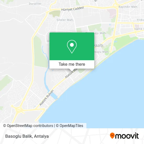 Basoglu Balik map