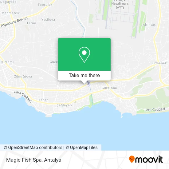 Magic Fish Spa map
